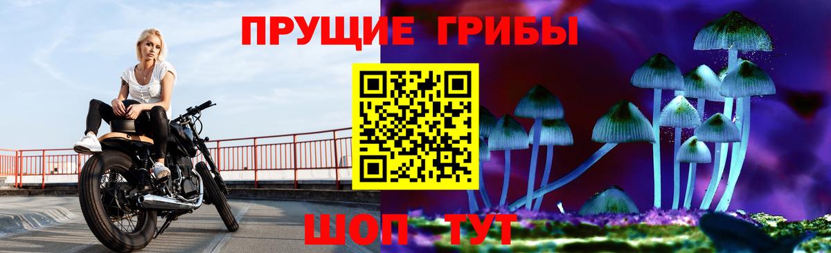 Псилоцибиновые грибы Psilocybine cubensis  Вход с VPN  Миасс 